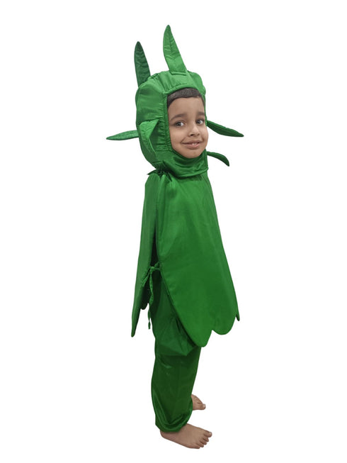 BookMyCostume Capsicum Bell Pepper Shimla Mirch Vegetable Kids Fancy Dress Costume